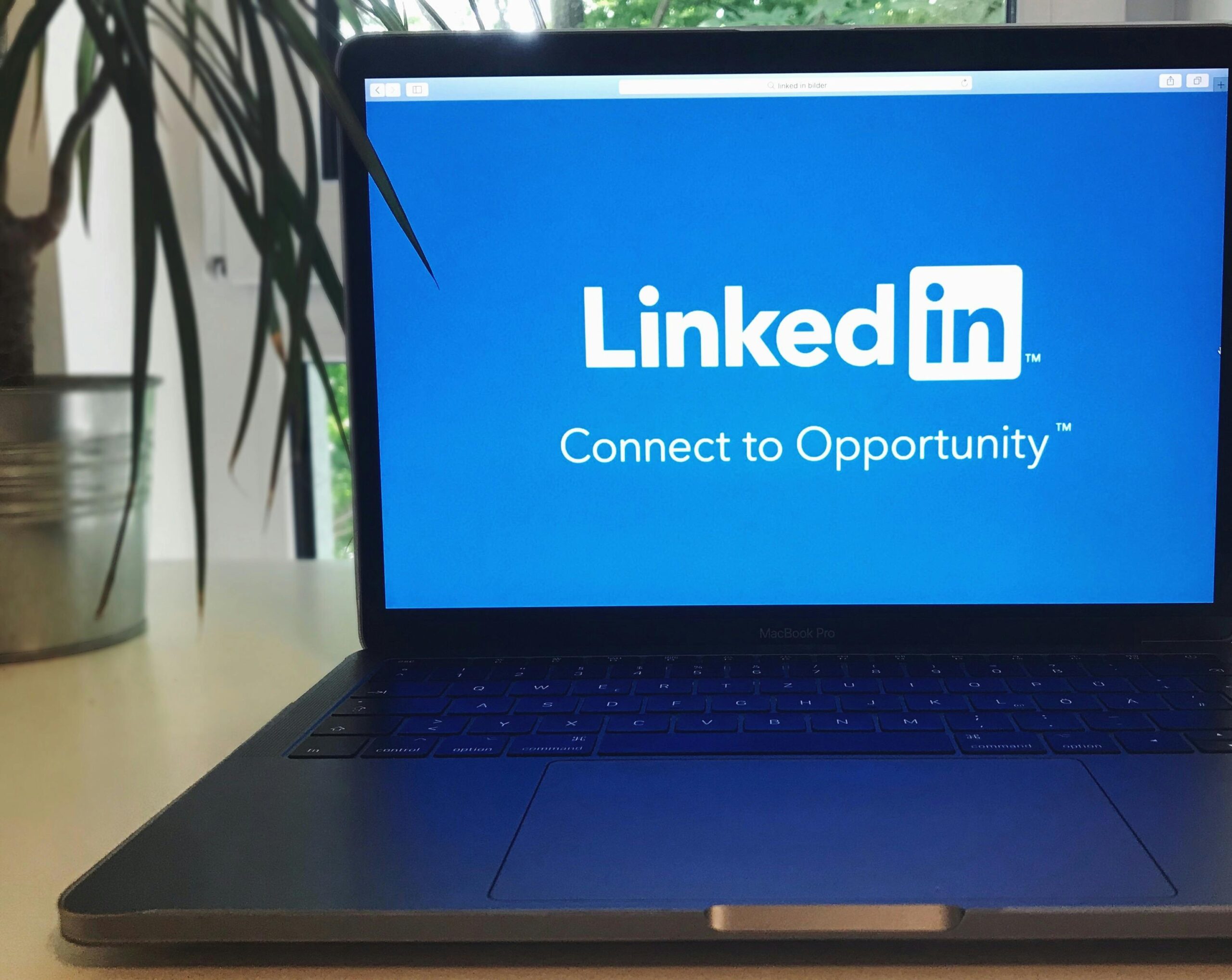 LinkedIn Marketing: